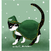 Cat Wizard