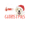 Golden Retriever Merry Christmas