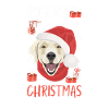 Golden Retriever Merry Christmas