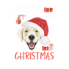 Golden Retriever Merry Christmas