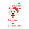 Golden Retriever Merry Christmas