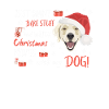 Golden Retriever Merry Christmas