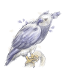 Harpie