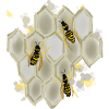 Wasps