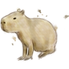 Capybara