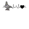 Deaf heartbeat pigeon fancier