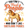Shetland Pony Cadeau Shetty