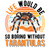 Tarantula Spider Tarantula