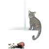 Moonlit tabby and fallen rose