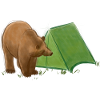 Bear Camping by Tent
