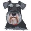 Schnauzer Illustration Geschenkidee Hundebesitzer