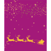 Père Noël