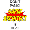 Super Architect / Super Achitekt