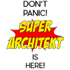 Super Architekt / Super Architect