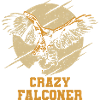 Falconry