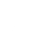 Bull Skull Flowers - Texas