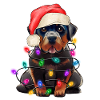 Christmas Dog