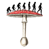 Amanita Muscaria Evolution Stoned Ape