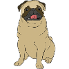 Pug life.