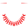 Anwalt Beruf