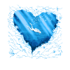 Diving Diver Diver