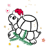 Turtle, Christmas