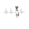 Foxterrier Hund Dog Hundehalter