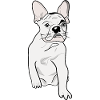 SÜSSER MOPS