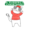 Christmas A purrfect Christmas Cat