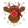 Rudi lets Santa fly Christmas
