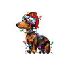 Teckel Noël