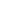 Fox Portrait Drawing