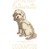 Cockapoo