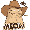 Cowboy Cat