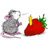 Rat and birthday