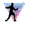 Fencing Fencing Sport Fencing