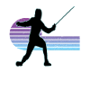 Fencing Fencing Sport Fencing