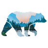 The bear