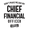 Chief Financial Officer Beruf
