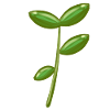 Plant Symbol Nature Green Leaves
