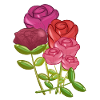 Bouquet Symbole Nature