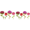 Flowers Nature Plants Line