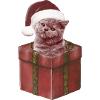 Gift Cat Christmas Beanie