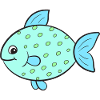 Fish Fish