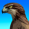 Eagle, Alcon, illustration
