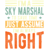 Sky Marshal