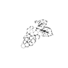 je peux pas j'ai vendanges
