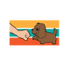 Best Boykin Spaniel Mom Ever