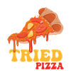 Have You Ever Tried Pizza