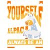 Alpacas Mammals LLamas Alpaca Funny